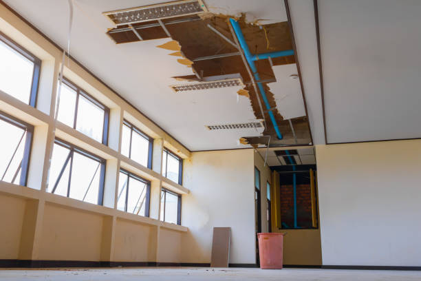 Best Fire Damage Restoration  in Gray, GA