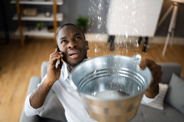 Best Water damage cleanup near me  in Gray, GA