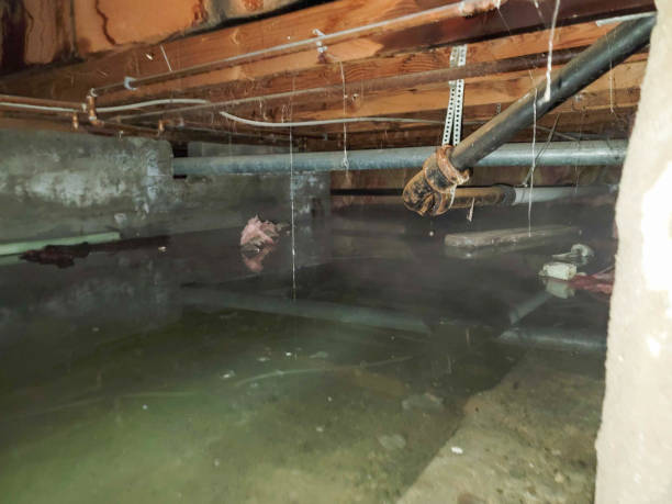 Best Water damage restoration cost  in Gray, GA