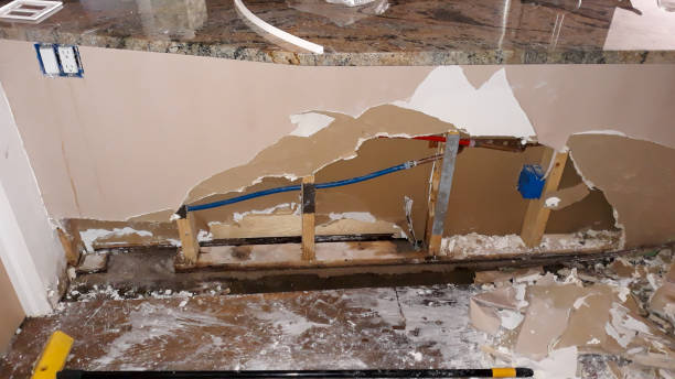Best Flooded house restoration  in Gray, GA