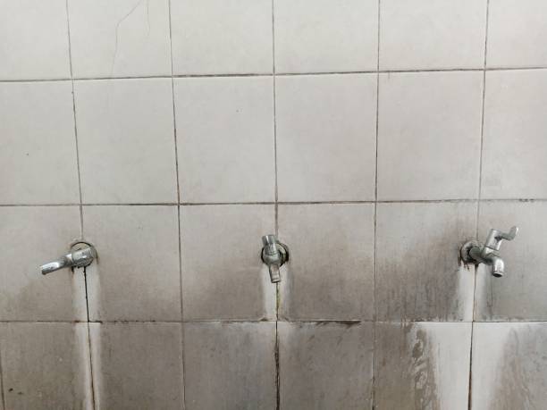 Best Ceiling water damage repair  in Gray, GA