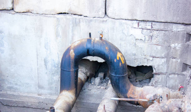 Best Carpet water damage restoration  in Gray, GA